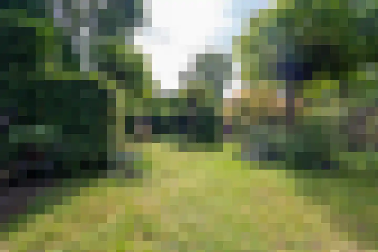 Goirleseweg 38 Tilburg thumbnail 38