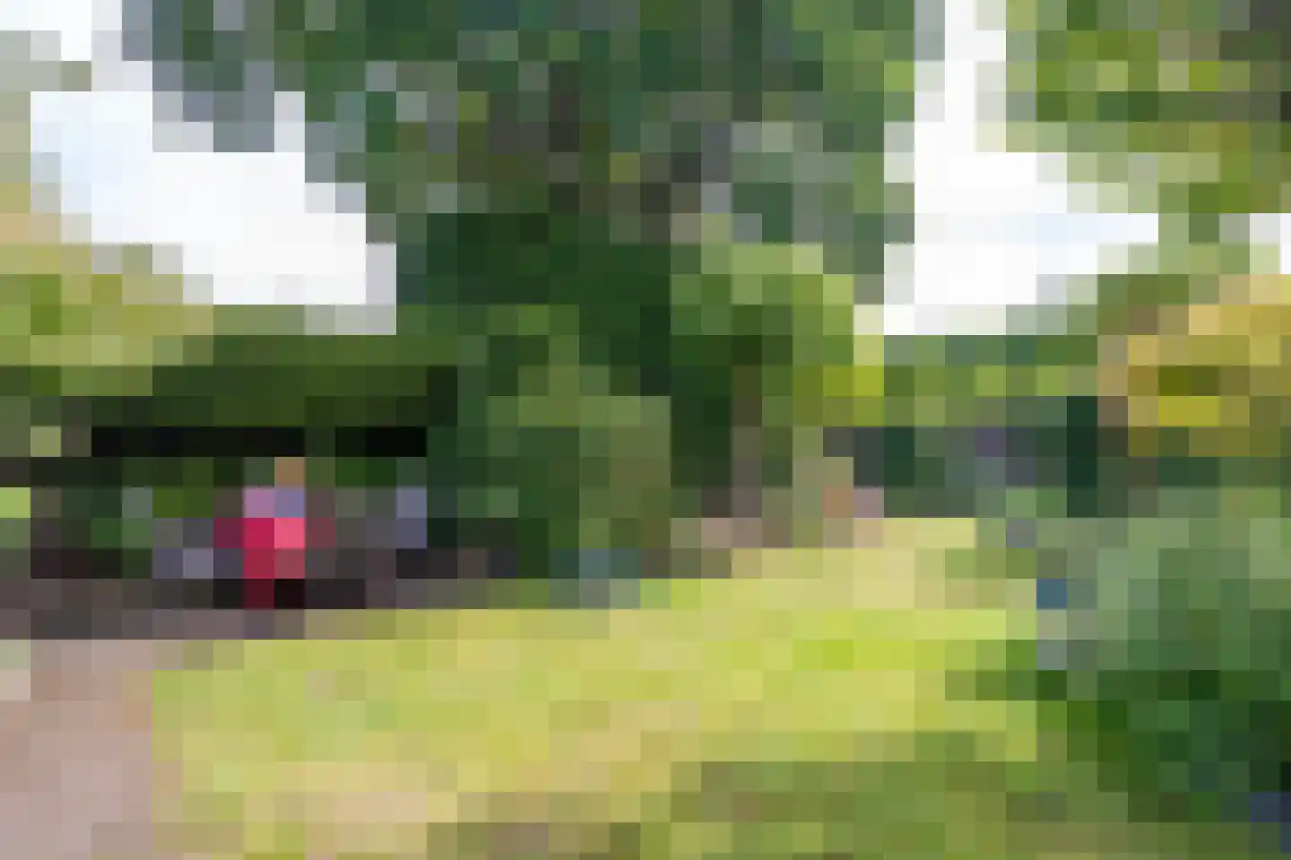 Goirleseweg 38 Tilburg thumbnail 39