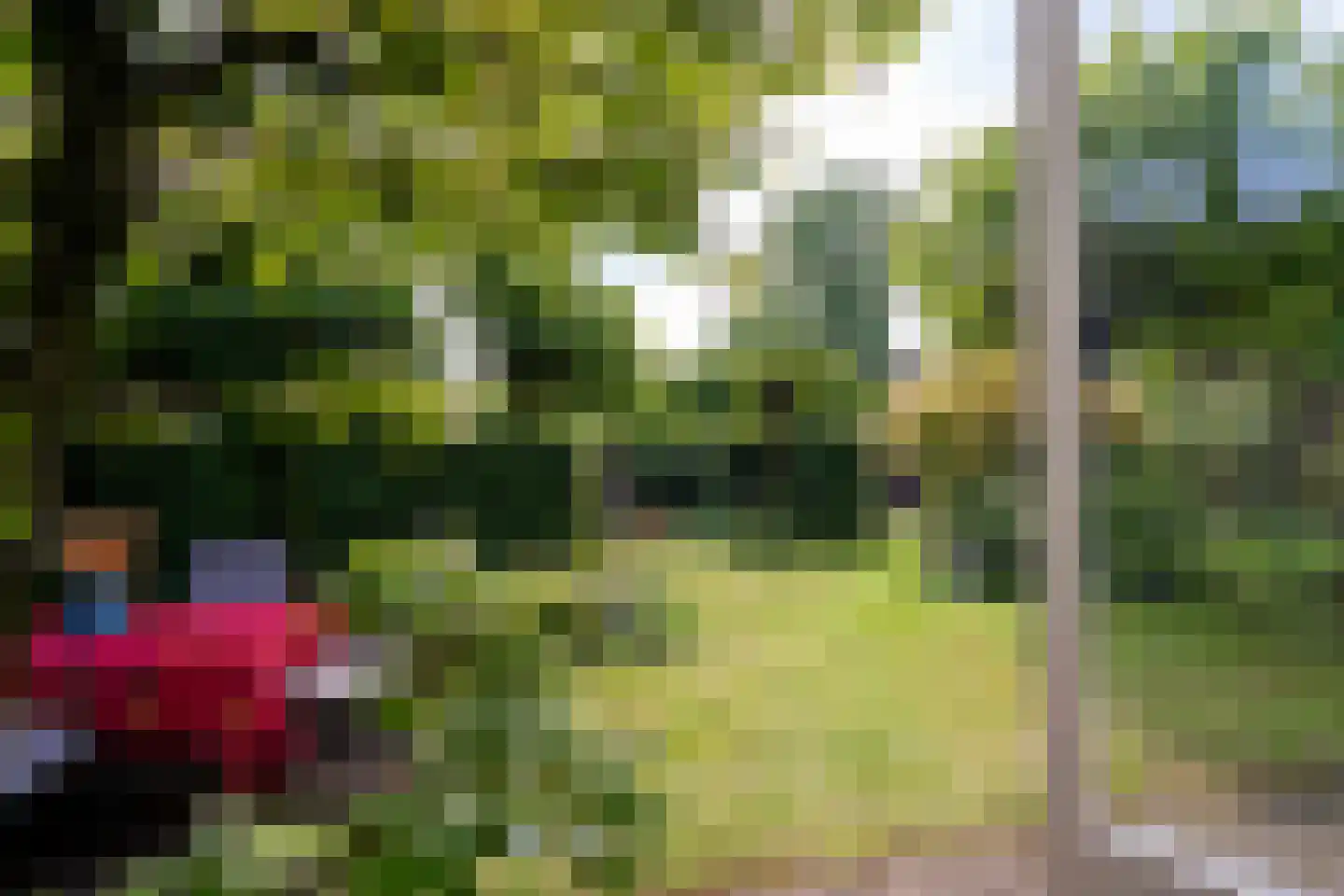 Goirleseweg 38 Tilburg thumbnail 40