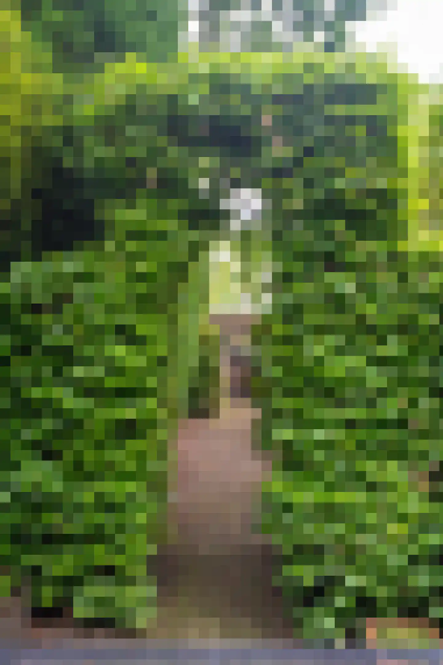 Goirleseweg 38 Tilburg thumbnail 41