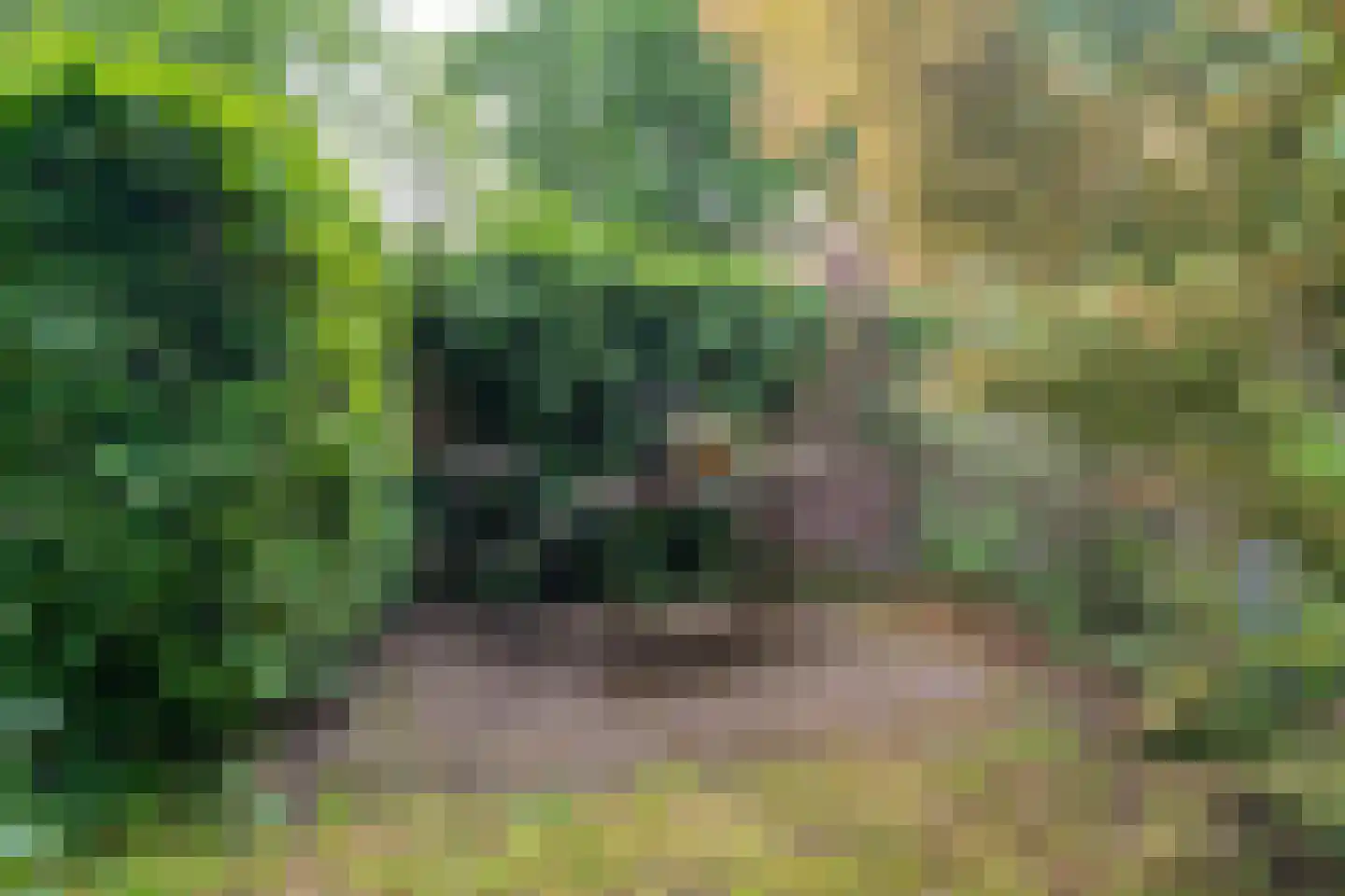 Goirleseweg 38 Tilburg thumbnail 42