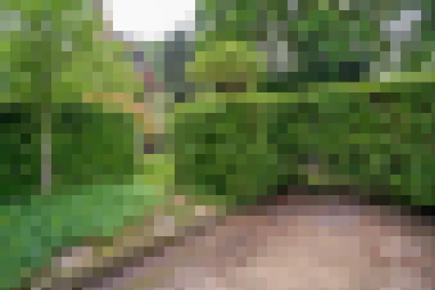 Goirleseweg 38 Tilburg thumbnail 44