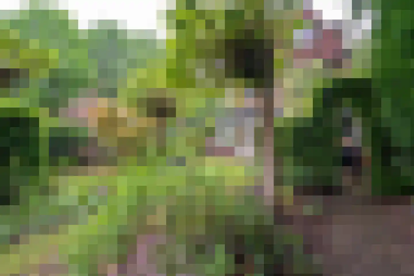 Goirleseweg 38 Tilburg thumbnail 45