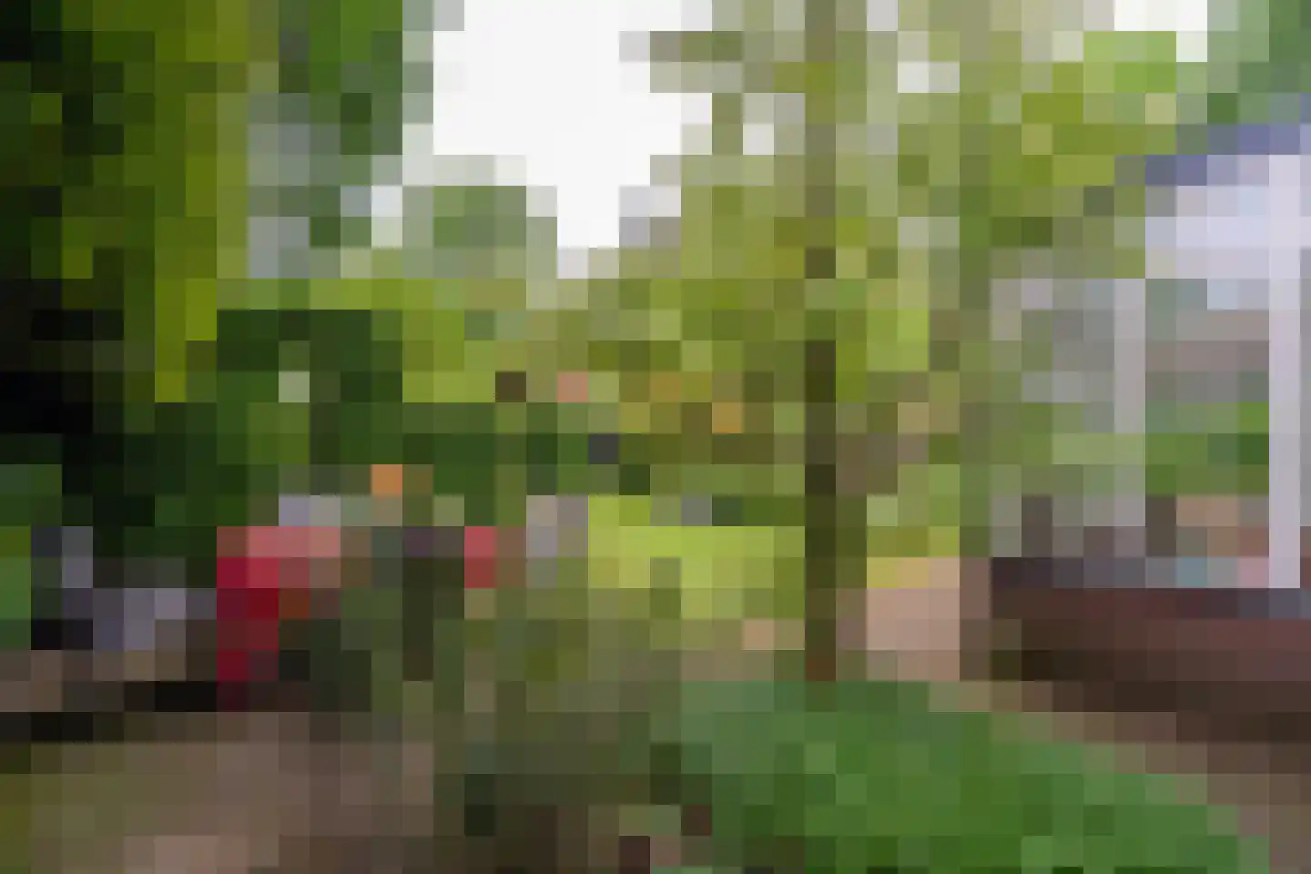Goirleseweg 38 Tilburg thumbnail 47