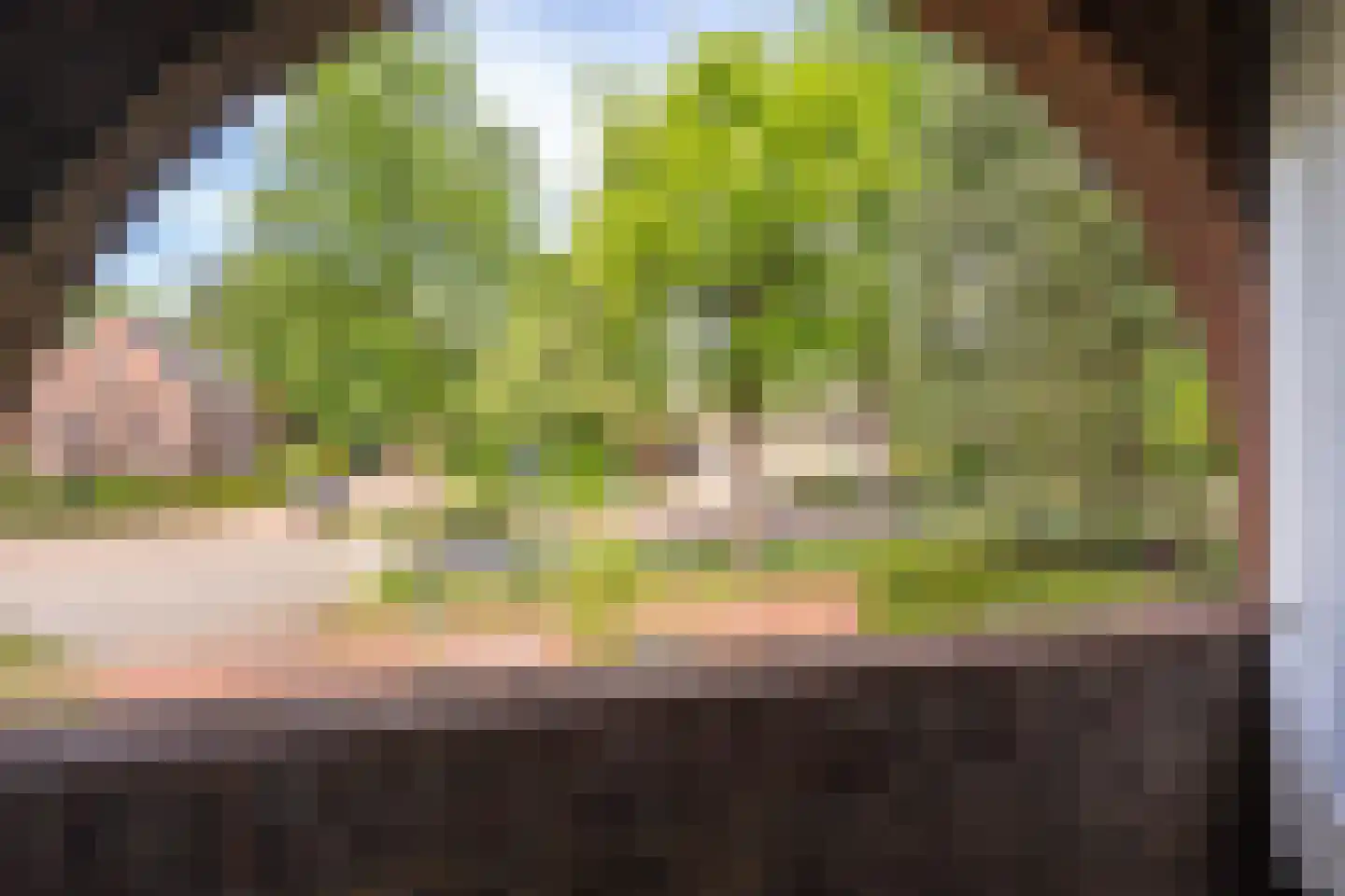 Goirleseweg 38 Tilburg thumbnail 54