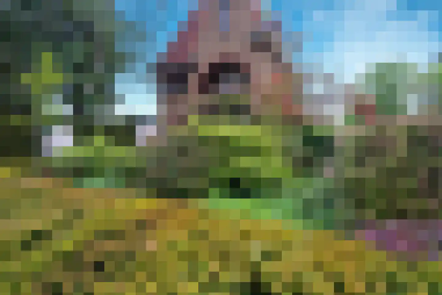 Goirleseweg 38 Tilburg thumbnail 7