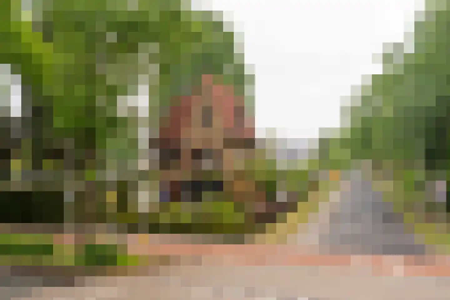 Goirleseweg 38 Tilburg thumbnail 75