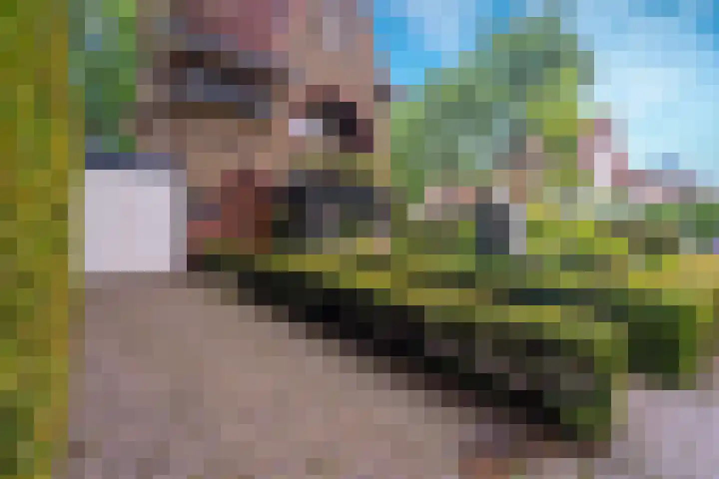 Goirleseweg 38 Tilburg thumbnail 8