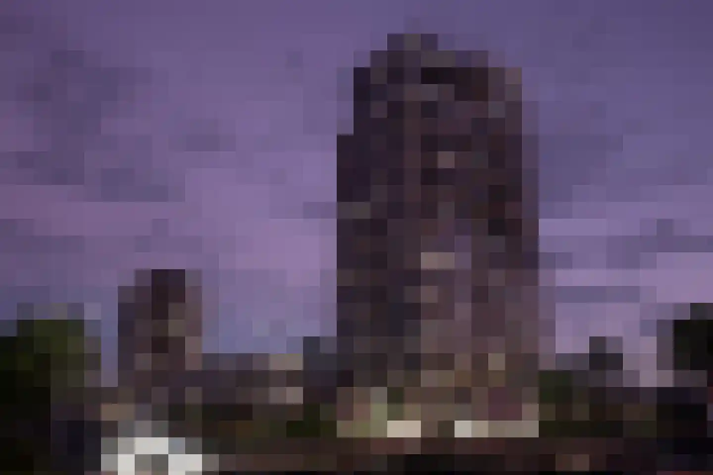 Golda 245 Gouda thumbnail 5