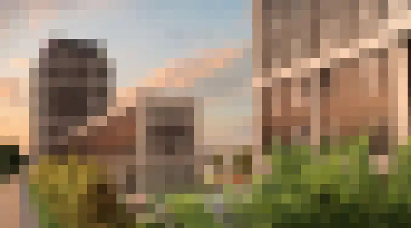 Golda 446 Gouda thumbnail 10