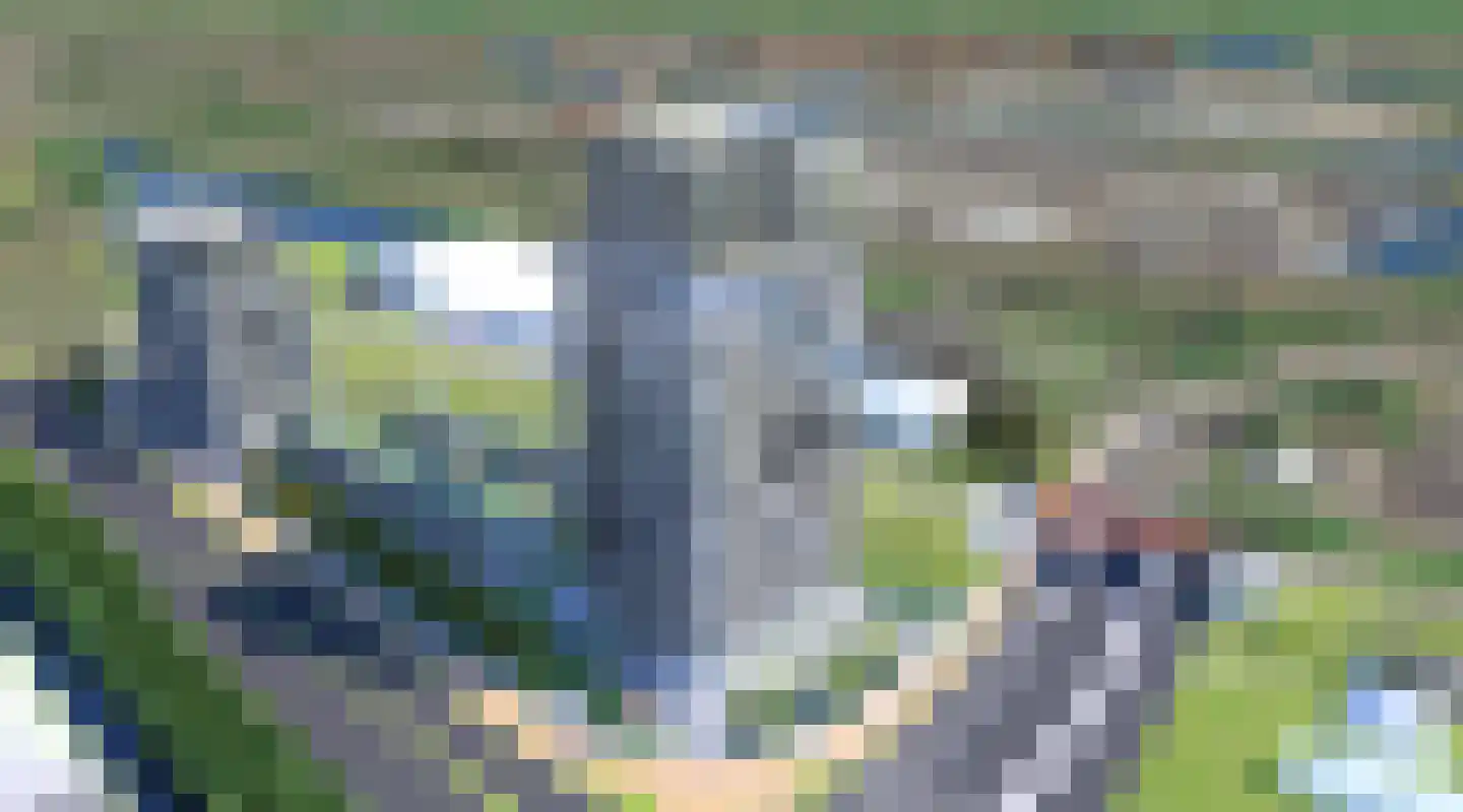 Golda 446 Gouda thumbnail 4