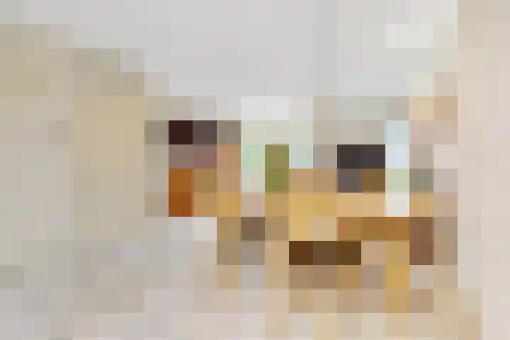 Golda Meirsingel 15 Ede thumbnail 10