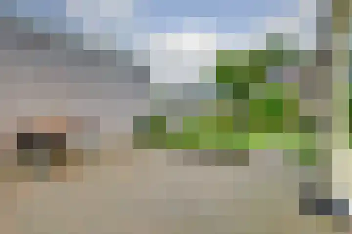 Golda Meirsingel 15 Ede thumbnail 26