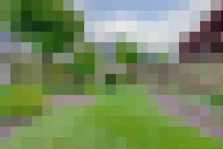 Golda Meirsingel 15 Ede thumbnail 27