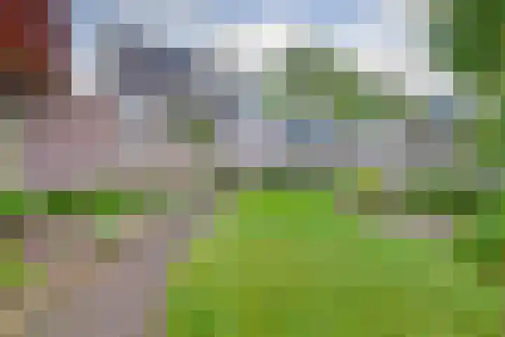 Golda Meirsingel 15 Ede thumbnail 28