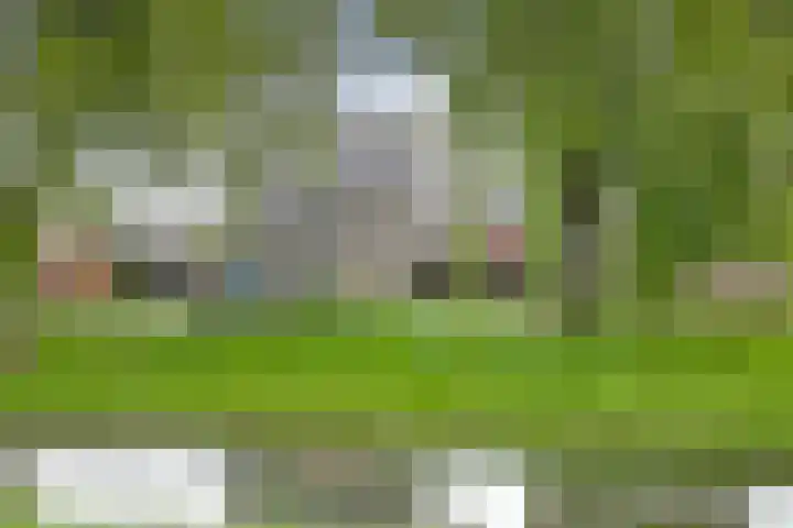 Golda Meirsingel 15 Ede thumbnail 29