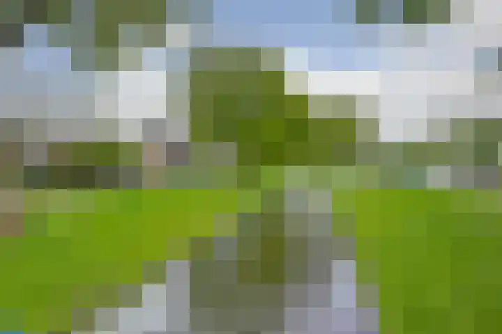 Golda Meirsingel 15 Ede thumbnail 30