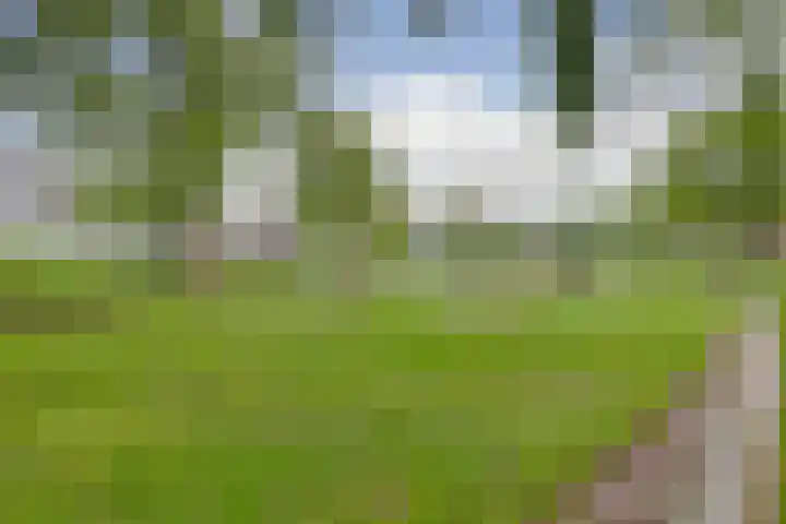 Golda Meirsingel 15 Ede thumbnail 31