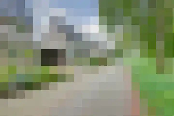 Golda Meirsingel 15 Ede thumbnail 32