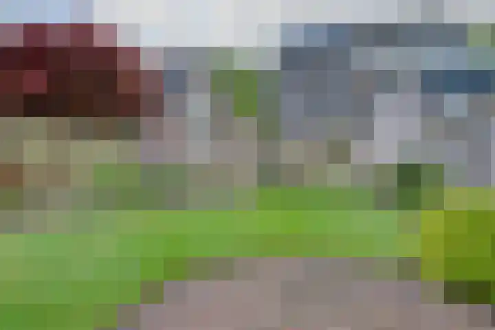 Golda Meirsingel 15 Ede thumbnail 4