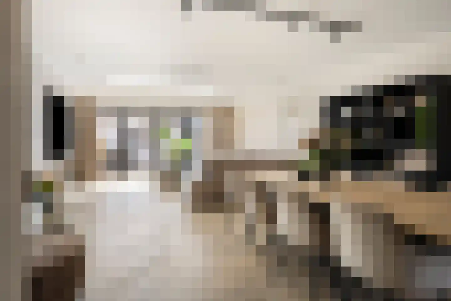 Golda Meirstraat 52 Goes thumbnail 10