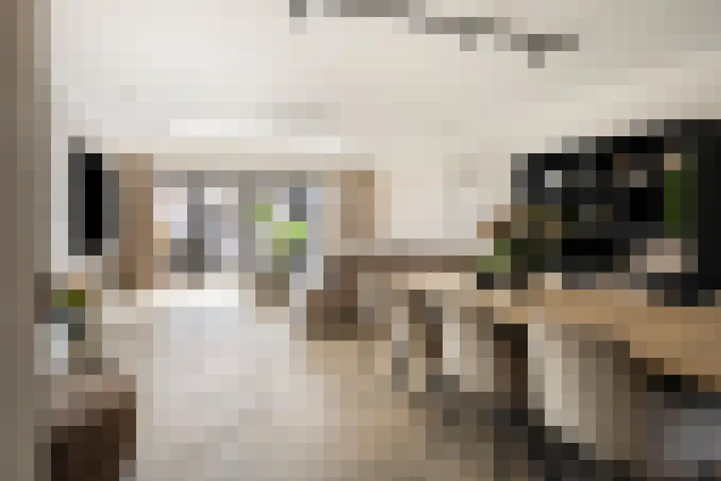 Golda Meirstraat 52 Goes thumbnail 11