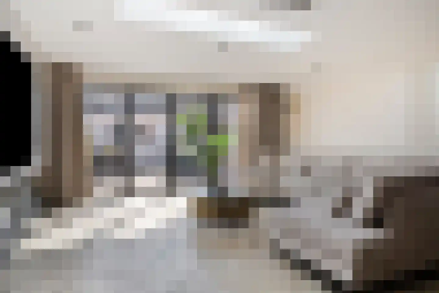 Golda Meirstraat 52 Goes thumbnail 11