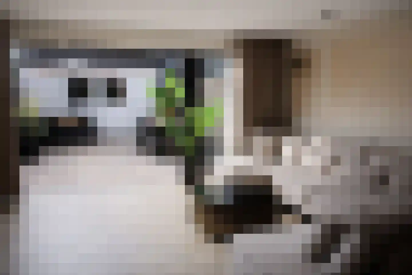 Golda Meirstraat 52 Goes thumbnail 18