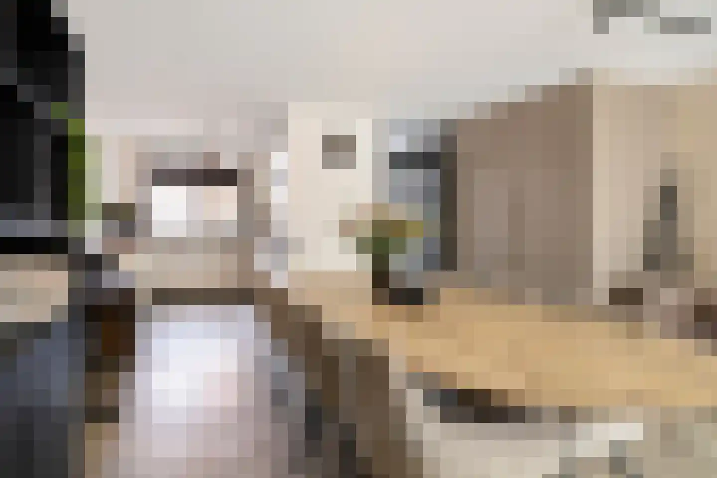 Golda Meirstraat 52 Goes thumbnail 20