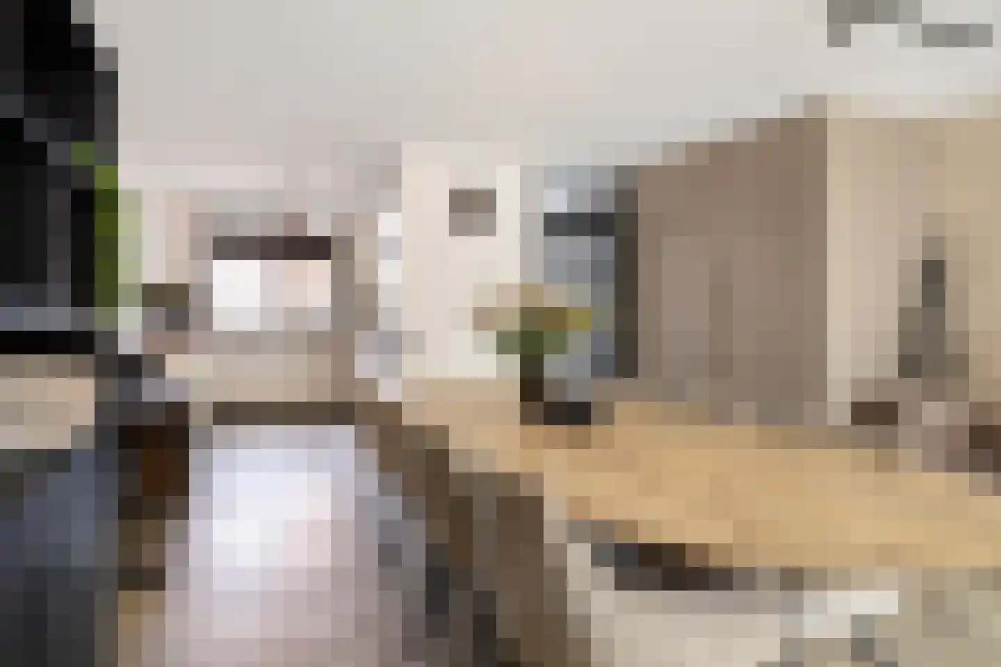 Golda Meirstraat 52 Goes thumbnail 21