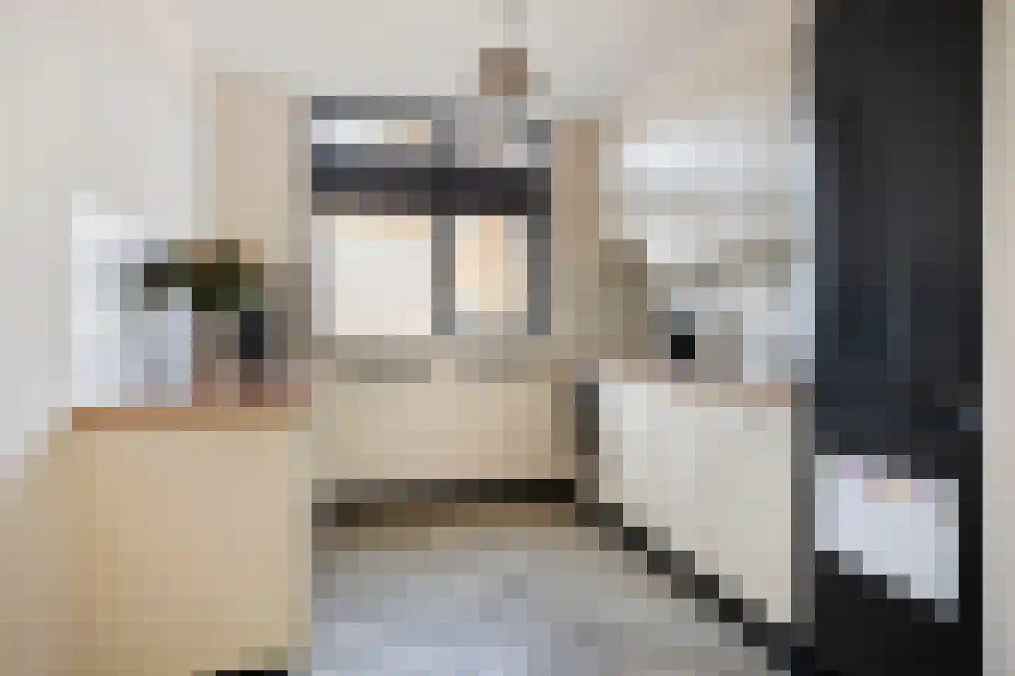 Golda Meirstraat 52 Goes thumbnail 24