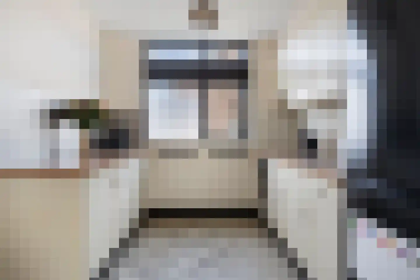 Golda Meirstraat 52 Goes thumbnail 25