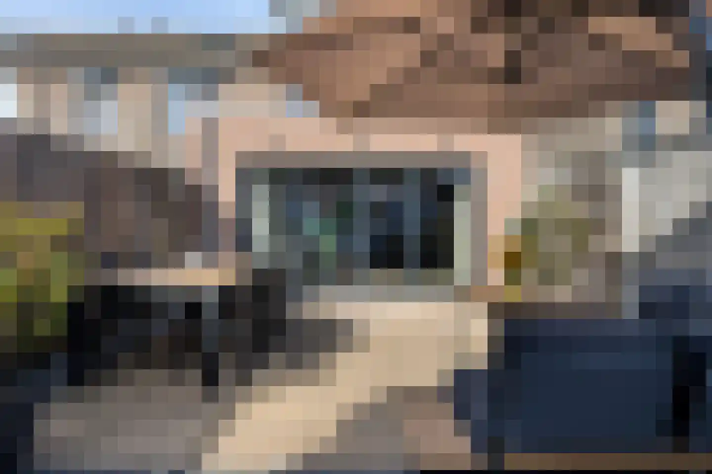 Golda Meirstraat 52 Goes thumbnail 45