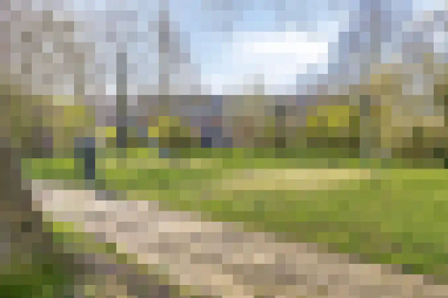 Golda Meirstraat 52 Goes thumbnail 51