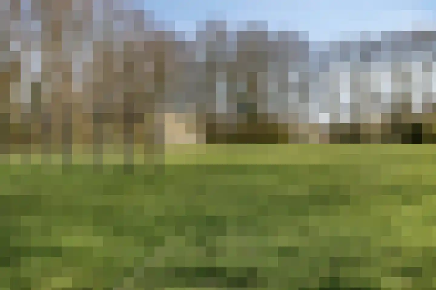 Golda Meirstraat 52 Goes thumbnail 53
