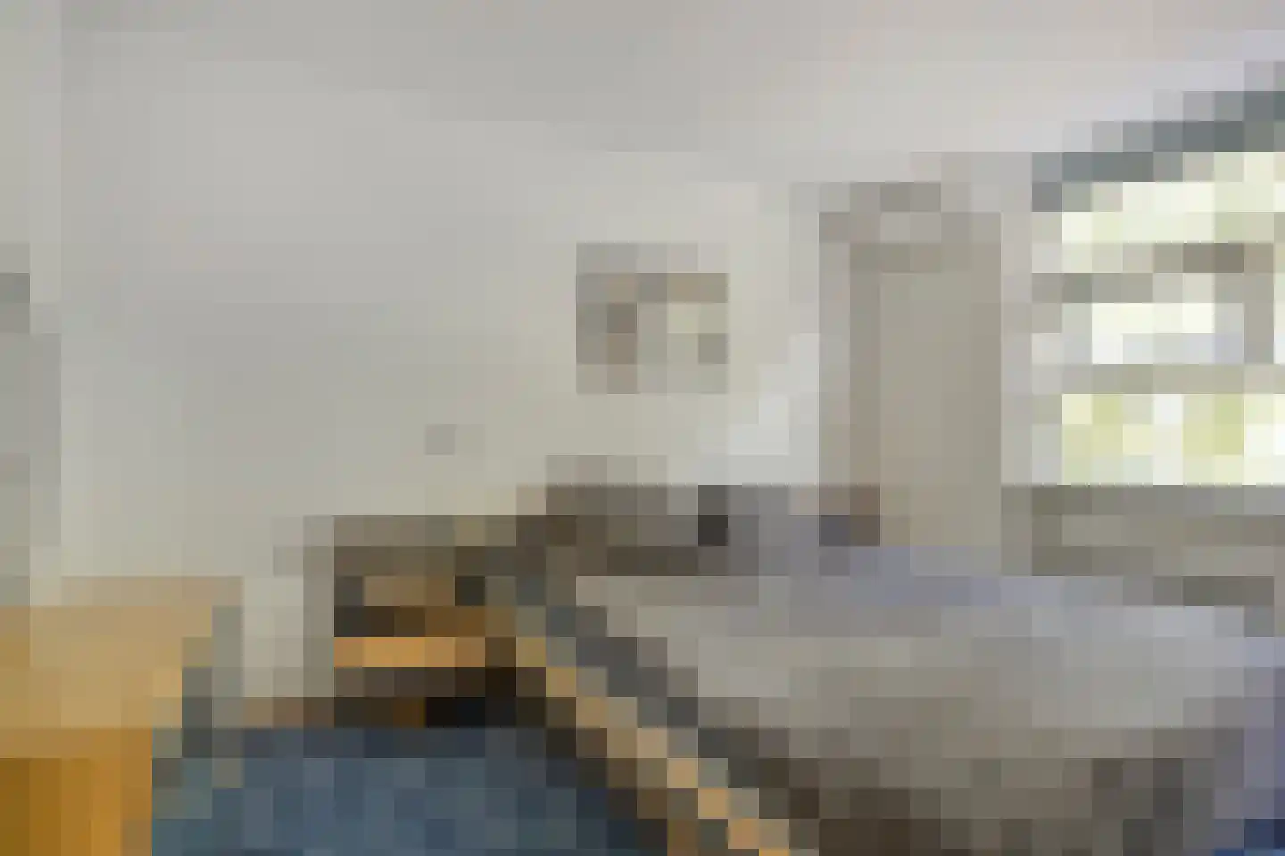 Golda Meirstraat 68 Spijkenisse thumbnail 14