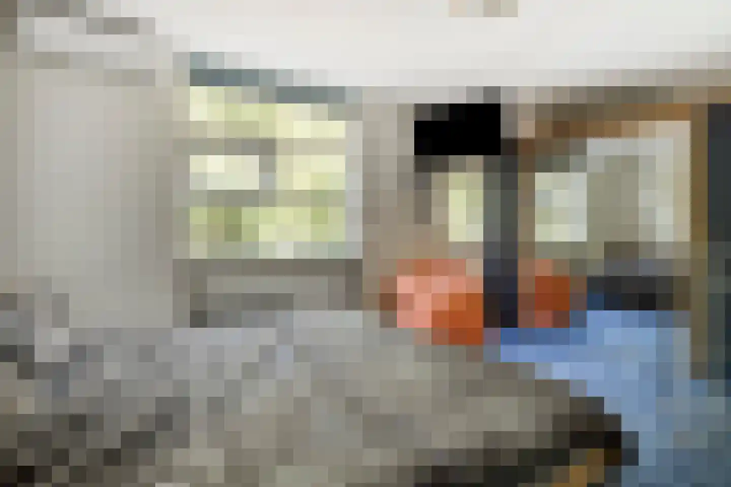 Golda Meirstraat 68 Spijkenisse thumbnail 15
