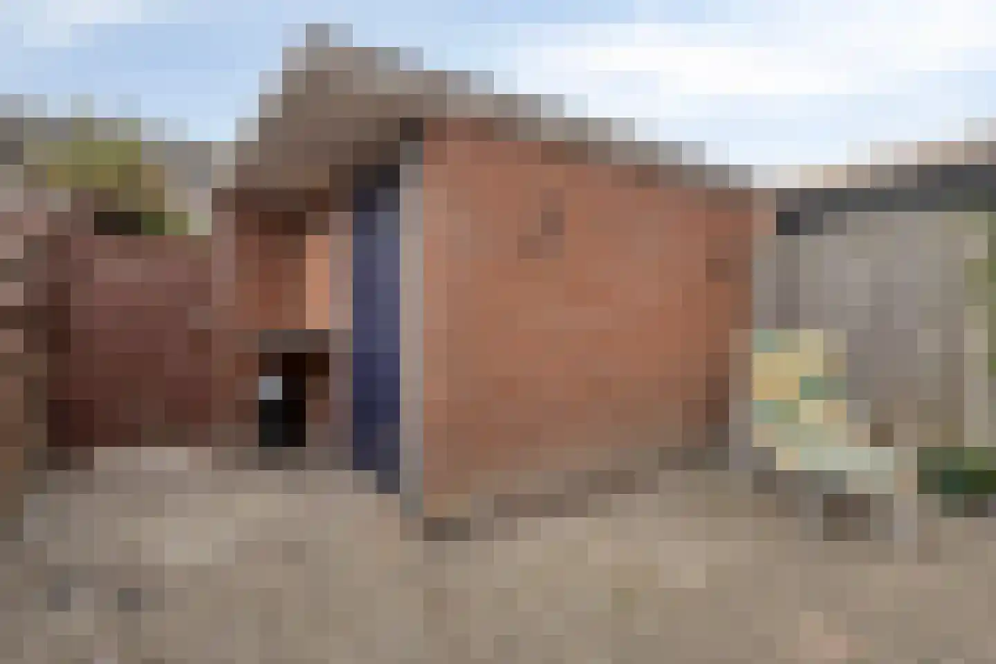 Golda Meirstraat 68 Spijkenisse thumbnail 21