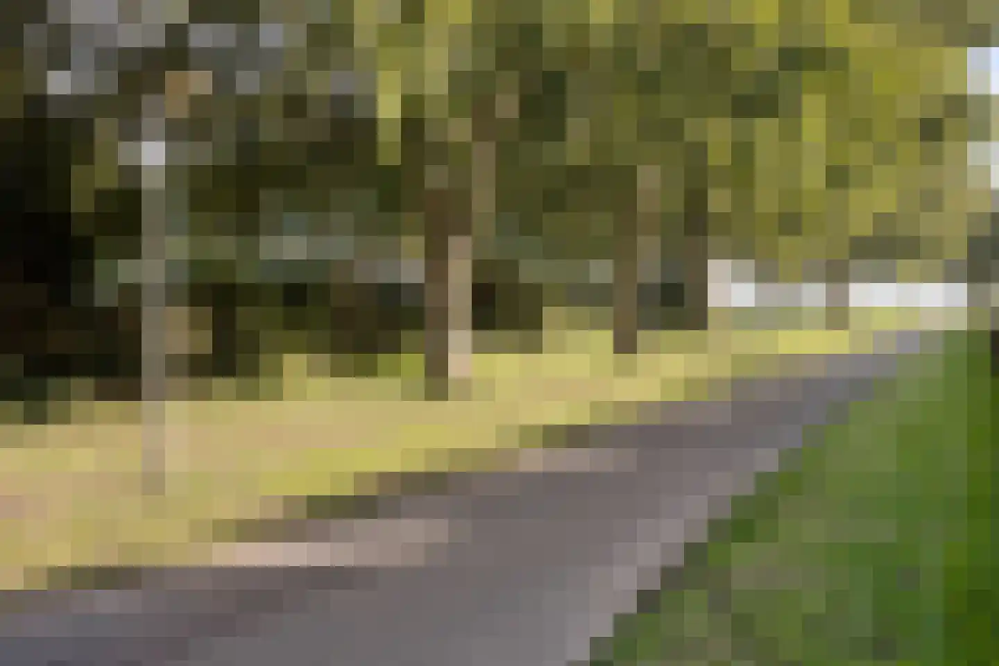 Golda Meirstraat 68 Spijkenisse thumbnail 24