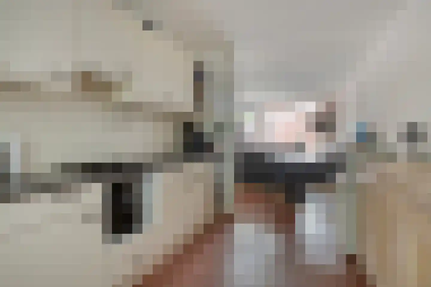 Golda Meirstraat 68 Spijkenisse thumbnail 8