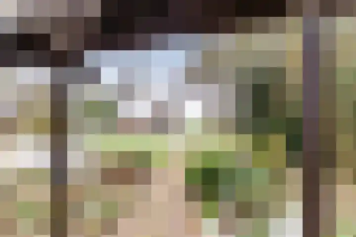Goldakkers 6 Zeegse thumbnail 10