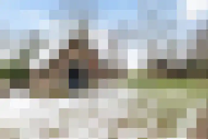Goldakkers 6 Zeegse thumbnail 11