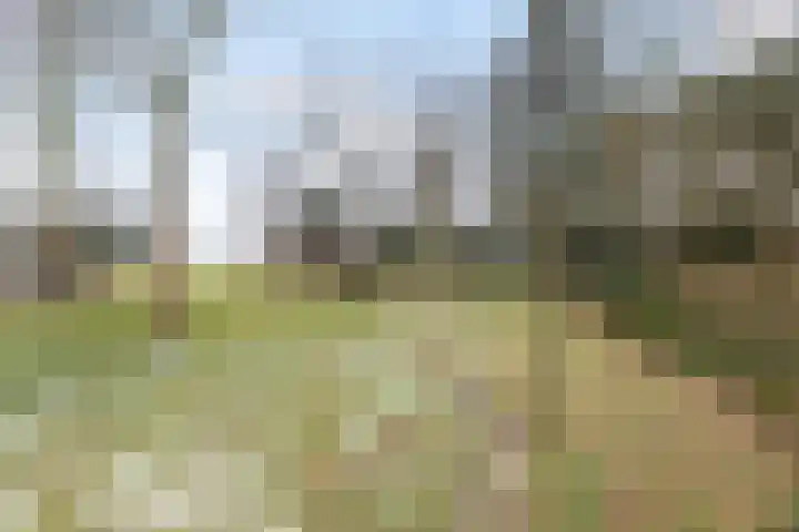 Goldakkers 6 Zeegse thumbnail 12
