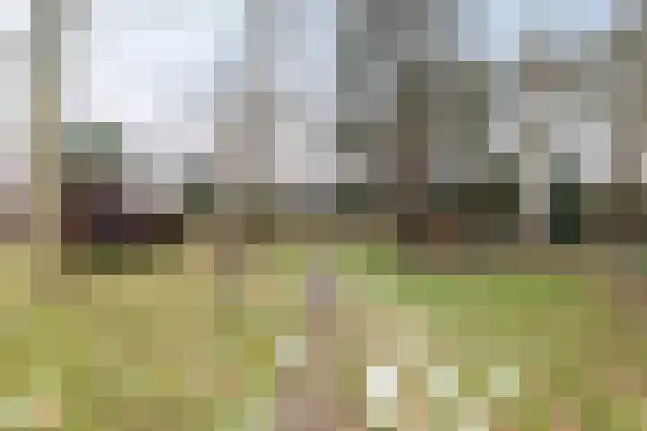 Goldakkers 6 Zeegse thumbnail 13