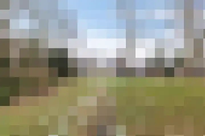 Goldakkers 6 Zeegse thumbnail 15