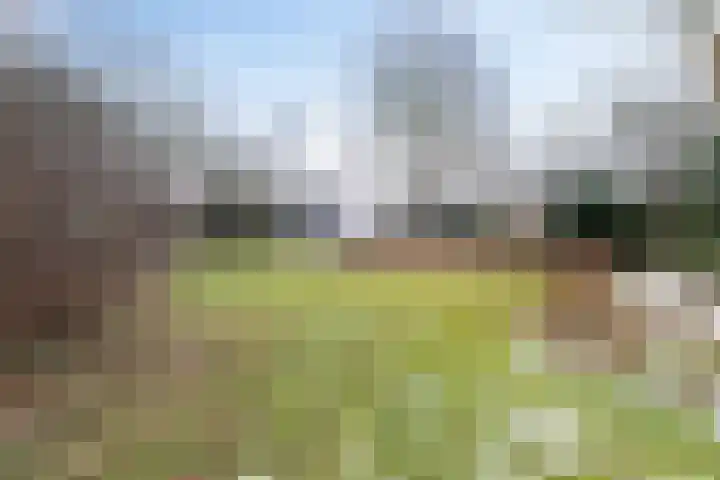 Goldakkers 6 Zeegse thumbnail 16