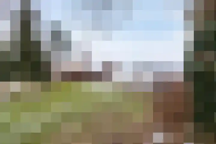 Goldakkers 6 Zeegse thumbnail 17