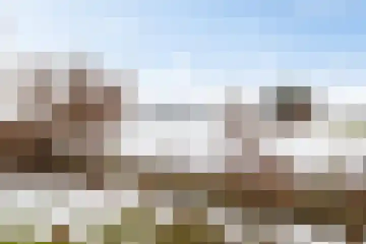 Goldakkers 6 Zeegse thumbnail 18