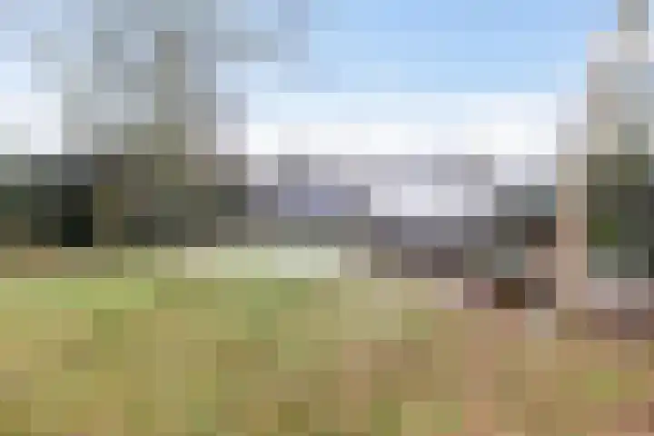 Goldakkers 6 Zeegse thumbnail 19