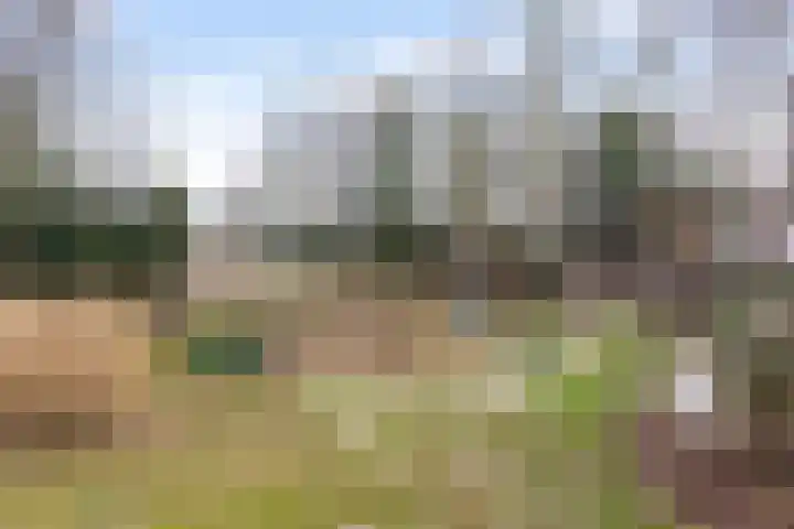 Goldakkers 6 Zeegse thumbnail 20